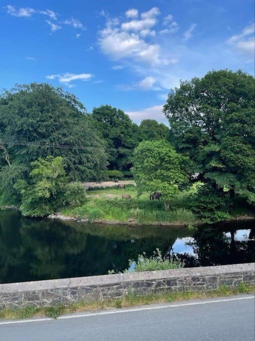 Riverside Retreat Llandysul Exterior foto