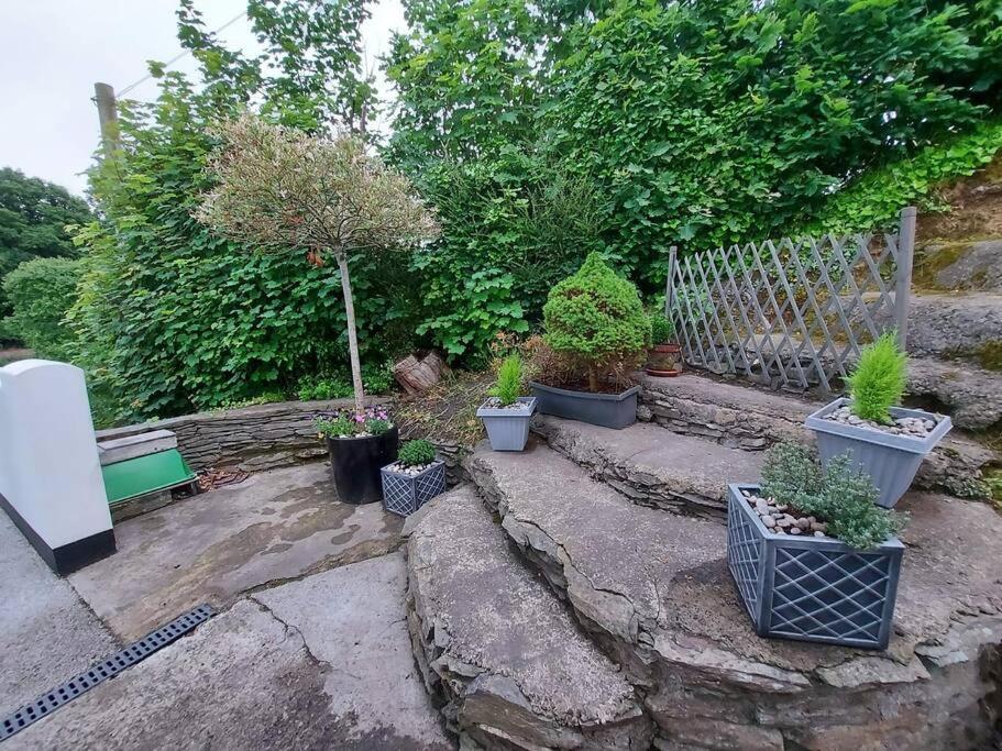 Riverside Retreat Llandysul Exterior foto